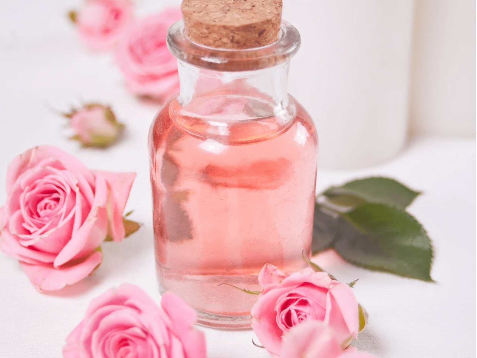 تصویر 3 از گلاب ربیع سبک و خوش‌ عطر برای نوشیدنی‌ ها